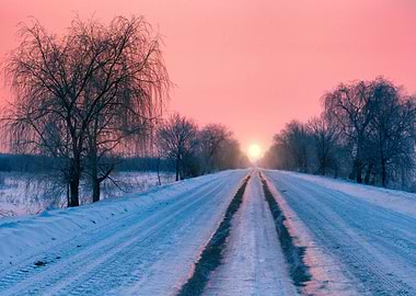 Road To Sunrise