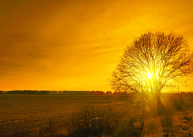 Beautiful Sunset Over Fiel