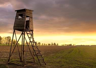 Sunset Sky And Raised Hide