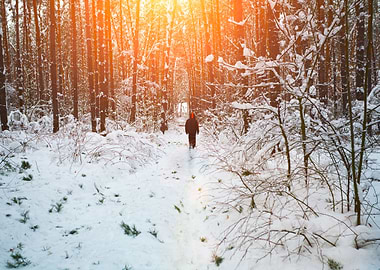 Man Walking In Snowy Fores