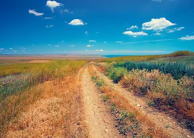 Rural Road To The Sea Coas