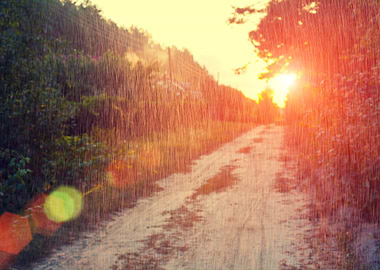 Rural Landscape In Summer