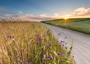 Beautiful Landscape Of Sun