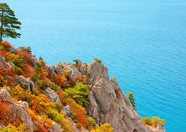 View Of The Sea Coast From