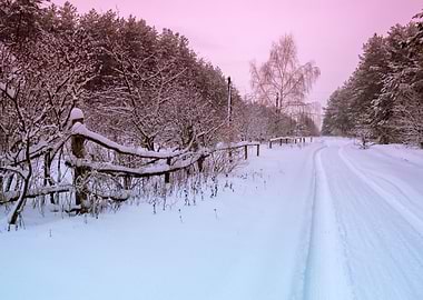 Rural Winter Snowy Landsca