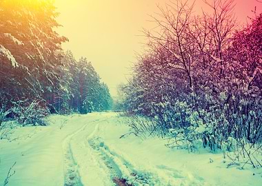 Rural Snowy Landscape