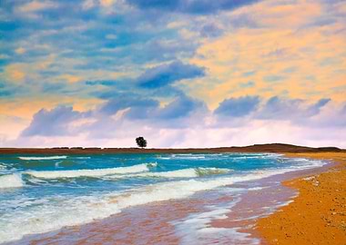 Beautiful Desert Beach At