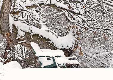 Stunning Backgrounds