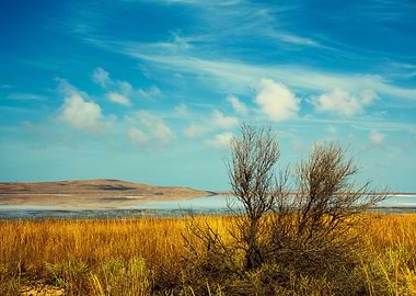 Beautiful Desert Landscape