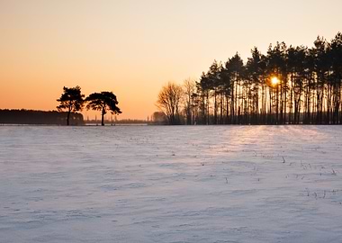Winter Field Landscape At