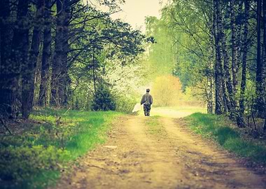 Man Walking By Forest Path