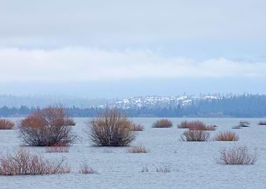 Stunning Backgrounds