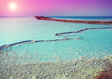 Dead Sea Salty Shore At Su