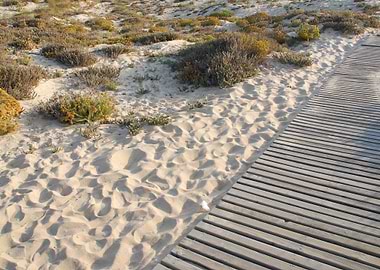 Wooden Walkway To Beach