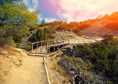 Wooden Bridge In Autumn Pa