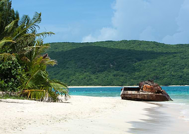 Puerto Rico Beach Tank