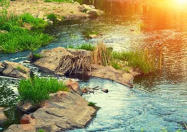 River Bank With Rocks
