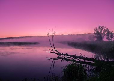 A Misty Morning Over The R