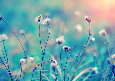 Blue Vintage Herbal Field