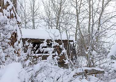 Stunning Backgrounds