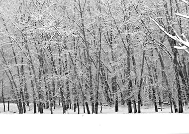 Stunning Backgrounds