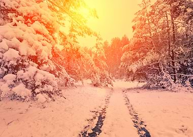 Vintage Winter Snowy Deser