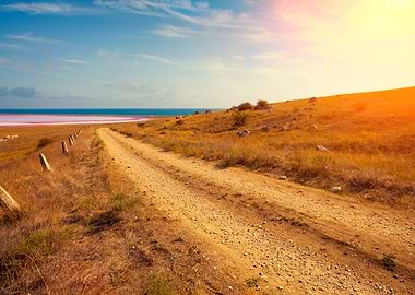 The Dirt Road To Pink Lake