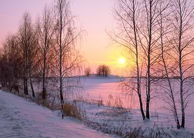 Beautiful Winter Sunrise