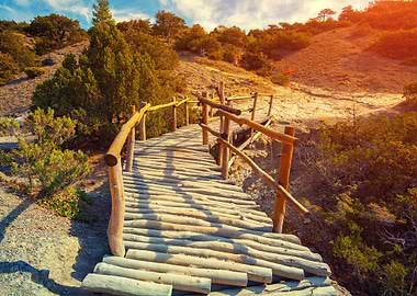 Wooden Bridge In Autumn Pa