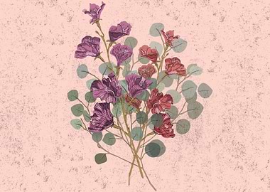 Iridaceae family flowers