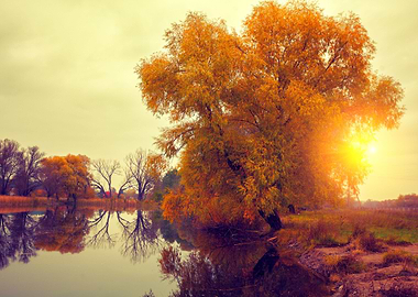Autumn Rural Landscape Wit