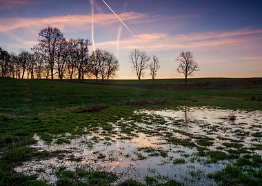 Field With Puddles