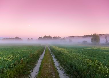 Dirt Road In The Field Wit