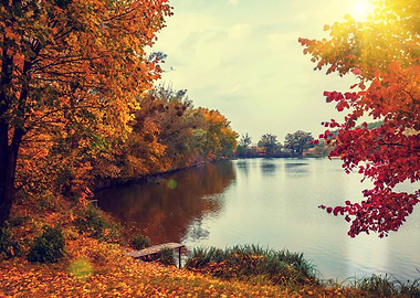Rural Landscape At Sunset