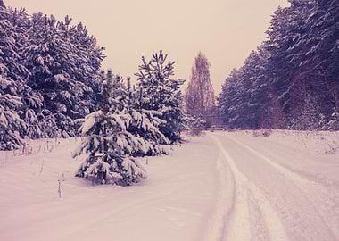 Rural Winter Snowy Landsca