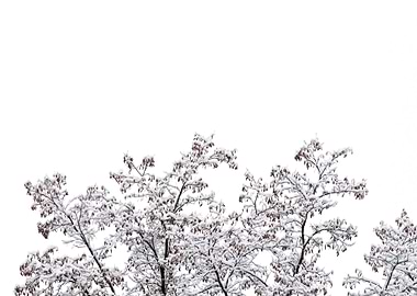 Stunning Backgrounds