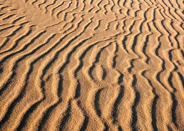 Dunes At Sunrise Landscape