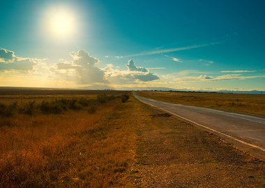 Asphalt Road Through The F