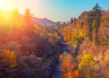 Botanical Garden At Sunset