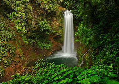 La Paz Waterfall Gardens W