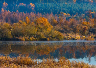 Morning Lake At Autumn
