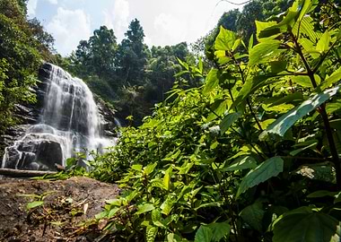 Water Fall In Spring Seaso