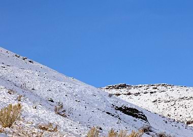 Stunning Backgrounds