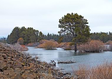 Stunning Backgrounds
