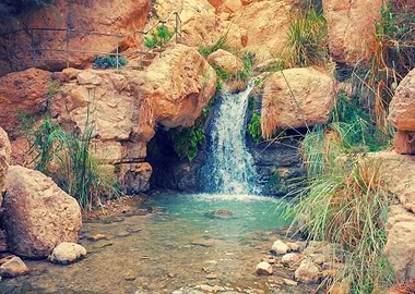 Waterfall In Ein Gedi Isra