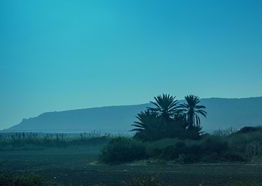 Arable Land In Israel Near
