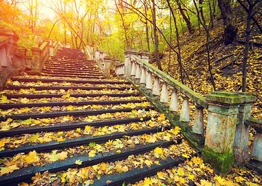 Park At Sunrise Stairways