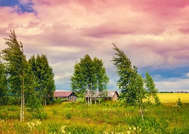 Countryside Landscape