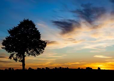 Sunset Over Rural Field