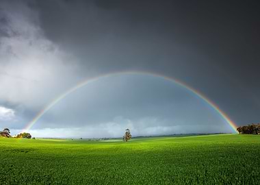 Rainbow Field